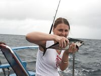 Таиланд, шторм и поверхностники: 7 тунцов с супругой в тяжёлых волнах