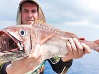 Мальдивы - рыбалка по каранксу, барракуде и джиг по мероу, снасти для кастинга и джиг-ловли, набор групп на май-июнь