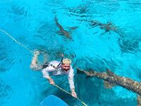 Мальдивы - рыбалка по каранксу, барракуде и джиг по мероу, снасти для кастинга и джиг-ловли, набор групп на май-июнь