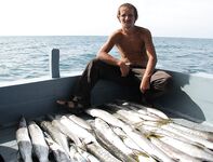 Пхукет, ночной выход, барракуда котлом, 28 хвостов за три часа
