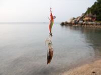 МОРСКАЯ РЫБАЛКА НА САМУИ: донка с кальмаром, Ламай, Ко Тао и мистер Чан