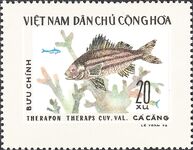 Ко Чанг: терапон на самодур с песчаного дна, опознали трофей