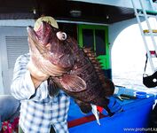 Морская рыбалка в Андаманском море, Таиланд: GT, догтуна, групер и руби снаппер