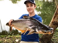 Морская рыбалка в Таиланде: Паттайя vs платники, сом и паку на поплавок