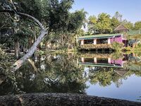 Морская рыбалка в Таиланде: Паттайя vs платники, сом и паку на поплавок