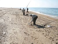 Морская рыбалка в Благовещенской: широкий песчаный берег и планы на клёв