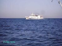 Морская рыбалка в Анапе, катер, лиса, голяк, глубины до 24 метров