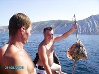 Морская рыбалка в Анапе, катер, лиса, голяк, глубины до 24 метров