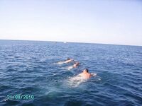 Морская рыбалка в Анапе, катер, лиса, голяк, глубины до 24 метров