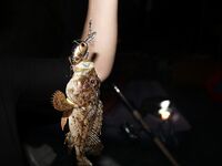 Элинги под Алуштой: ночами спиннинг, тиролька и богомол на крыше