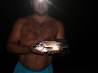 Алушта, ночной спиннинг: горбыль, морской дракон и жарка на гриле