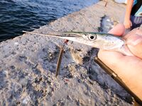 Алушта: пресную выбили, ночные фото по морю, немного о снастях