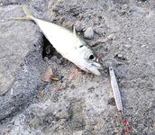 Меганом: дополнил тему снимками, чутка по ветру и про точки