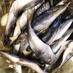 Крым, Балаклава и Евпатория: пилькеры, фидер, микроджиг, сентябрь