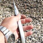 Крым, Балаклава и Евпатория: пилькеры, фидер, микроджиг, сентябрь