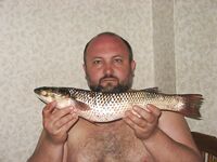 Адлер, камни и прибой: пиламида, пиленгас и горбыль в одном выезде