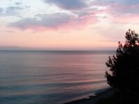 Лазаревское, первый опыт: ставка, пеламида и шторм под ливнем в финале