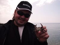 Центр Сочи, отель Баунти: рыба по погоде и ведро видов с причального хода