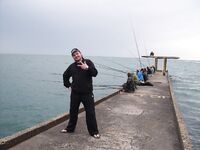 Центр Сочи, отель Баунти: рыба по погоде и ведро видов с причального хода