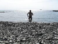 Центр Сочи, отель Баунти: рыба по погоде и ведро видов с причального хода