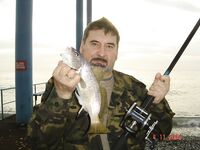 Пансионат Ивушка, Лоо: барабулька и бычок, ставрида на самодур с катера