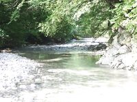 Река Аше, Сочи: стритфишинг, голавль на нахлыст, вода как кофе после ливня