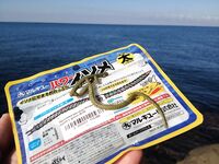 Сочи, первый спиннинг в сентябре: первые забросы по морю без трофеев пока