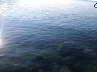 Сочи, фотоотчёт с морского выезда: риф, снасти, уловы, пара картинок для памяти