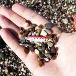 Сиде береговой ликбез: рассвет, паузы, глубина и рабочие веса