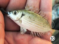 Анталийское побережье точка многоточий: пусть море само допишет финал