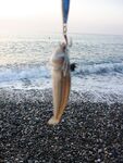 Бельдиби день второй - рождественский шторм и крошево в прибое