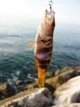 Бельдиби день второй - рождественский шторм и крошево в прибое