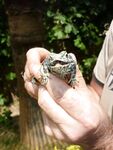 Бельдиби день второй - рождественский шторм и крошево в прибое