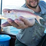 Сиде солнце, море и немного спиннинга: джиг и колебло по мелочи