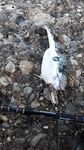 Анталийское побережье спонтанный заезд - ключик к морю найден
