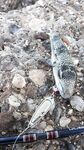 Анталийское побережье спонтанный заезд - ключик к морю найден