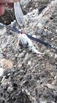 Анталийское побережье спонтанный заезд - ключик к морю найден