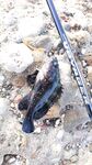 Анталийское побережье спонтанный заезд - ключик к морю найден