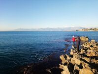 Анталийское побережье два дня на волнорезе - джиг, птицы и кайф