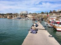 Анталийское побережье два дня на волнорезе - джиг, птицы и кайф