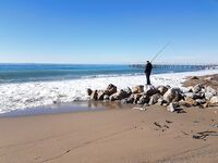 Анталийское побережье перед ужином к свалу - солнце, слабый ветер, рыба