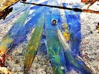 Анталийское побережье тянут потихоньку - катушки шепчут, рыба не спит