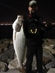 Бельдиби дроп-шот и каролина по кефали: когда волна мала и вода стекло