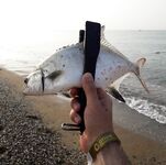 Морская рыбалка в Махмутларе: береговой спиннинг без выходов хищника