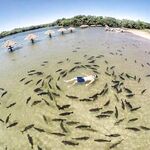 Кемер ночная тема с кефалью и фото из сети: спорим и смотрим примеры