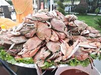 Морская рыбалка в Сиде жара и камни: в поте лица таскаем железо и рыбу