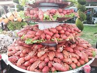 Морская рыбалка в Сиде жара и камни: в поте лица таскаем железо и рыбу