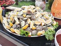 Морская рыбалка в Сиде жара и камни: в поте лица таскаем железо и рыбу