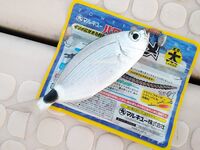 Морская рыбалка в Алании, Анталийское побережье: июнь, ловил понемногу