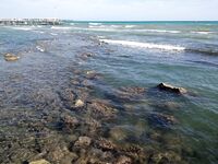 Морская рыбалка в Алании, Анталийское побережье: июнь, ловил понемногу